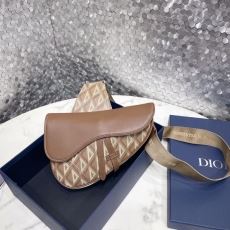 Christian Dior Saddle Bags